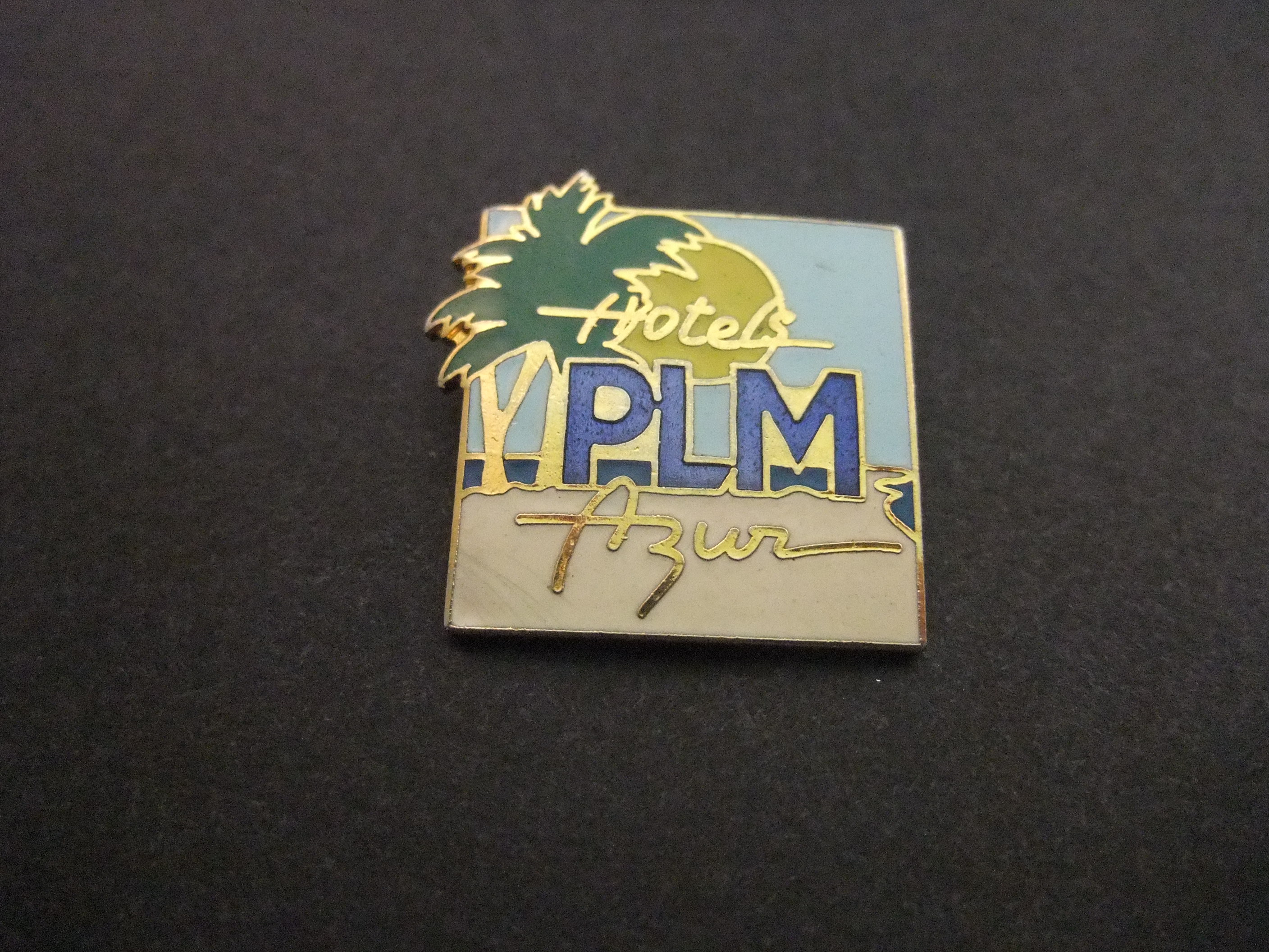 PLM hotels Cote d'Azur France ( palmboom)